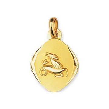 Médaille Capricorne Or Jaune