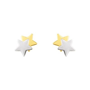 Boucles D'oreilles  Clou Bicolore