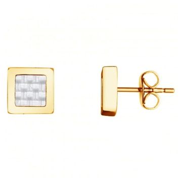 Phebus Homme - Boucles D'Oreilles Puces Acier Ipg Et Carbone Blanc
