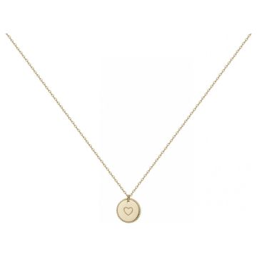 Phebus Acier - Collier Acier Et Ipg-38+10Cm
