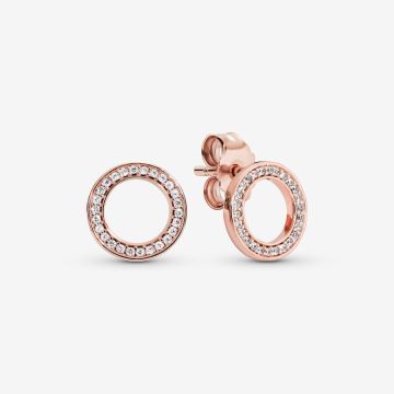 Clous d'Oreilles Cercles Scintillants