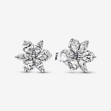 Clous d'Oreilles Herbier Scintillant