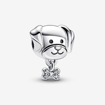 Charm Chien & Os