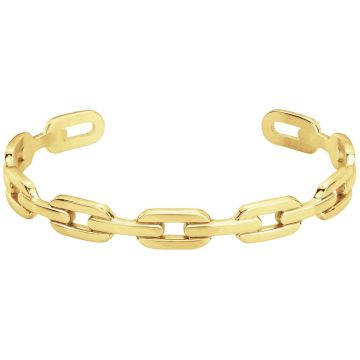 Phebus Acier - Bracelet Acier Pvd Jaune 50*60*32