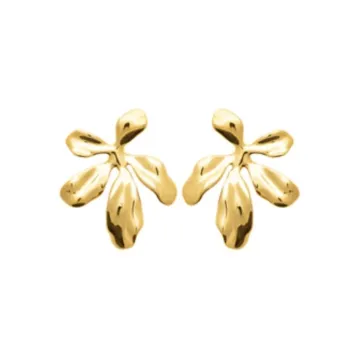 Boucles D'oreilles acier
