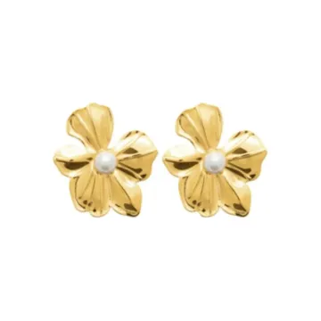 Boucles D'oreilles acier