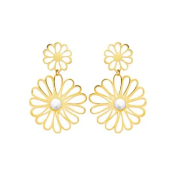 Boucles D'oreilles acier
