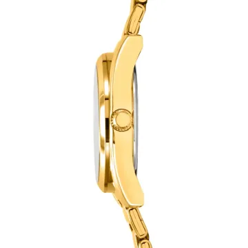Montre  Festina F20640/9 Vert Bracelet En Acier Inoxydable Femme